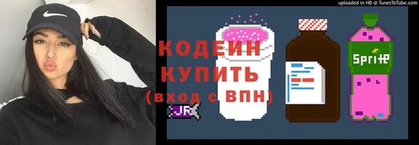 таблы Богородицк