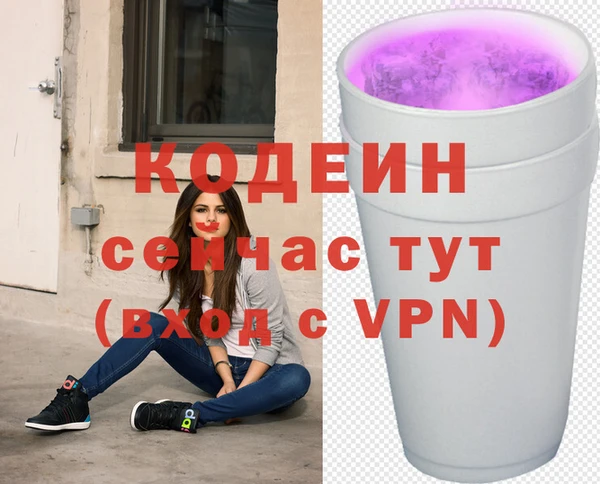 таблы Богородицк