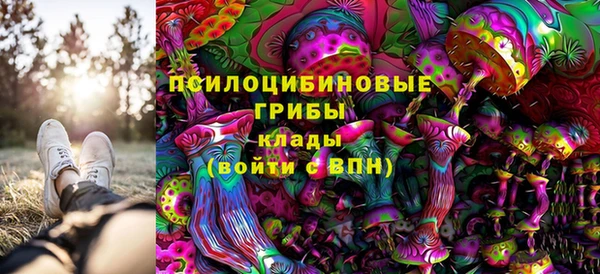 кристаллы Богданович