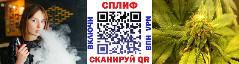 darknet состав  цена наркотик  Королёв  Бошки Шишки VHQ 